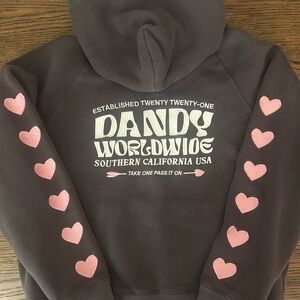 Dandy Worldwide Black Hoodie with Pink Heart Sleeves